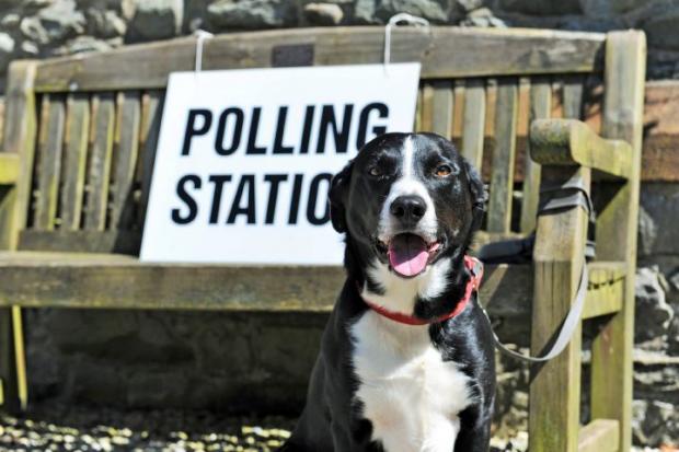 Bournemouth Echo: POLLING STATIONS FOR 2017 COUNCIL ELECTION Polling stations for the 2017 council election Pictured: Frank the dog outside Lindal polling station, Buccleuch Hall, the Green Lindal in Furness, Ulverston, Thursday 4th May 2017 LEANNE BOLGER