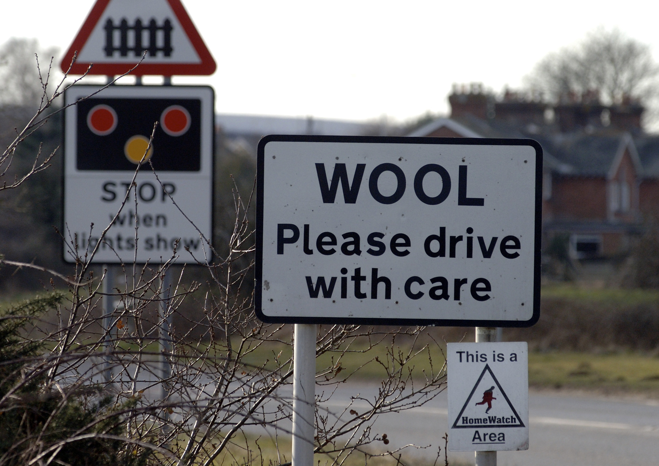 Animal rights group wants 1,000-year-old Purbeck village to change its name...to 'Vegan Wool'