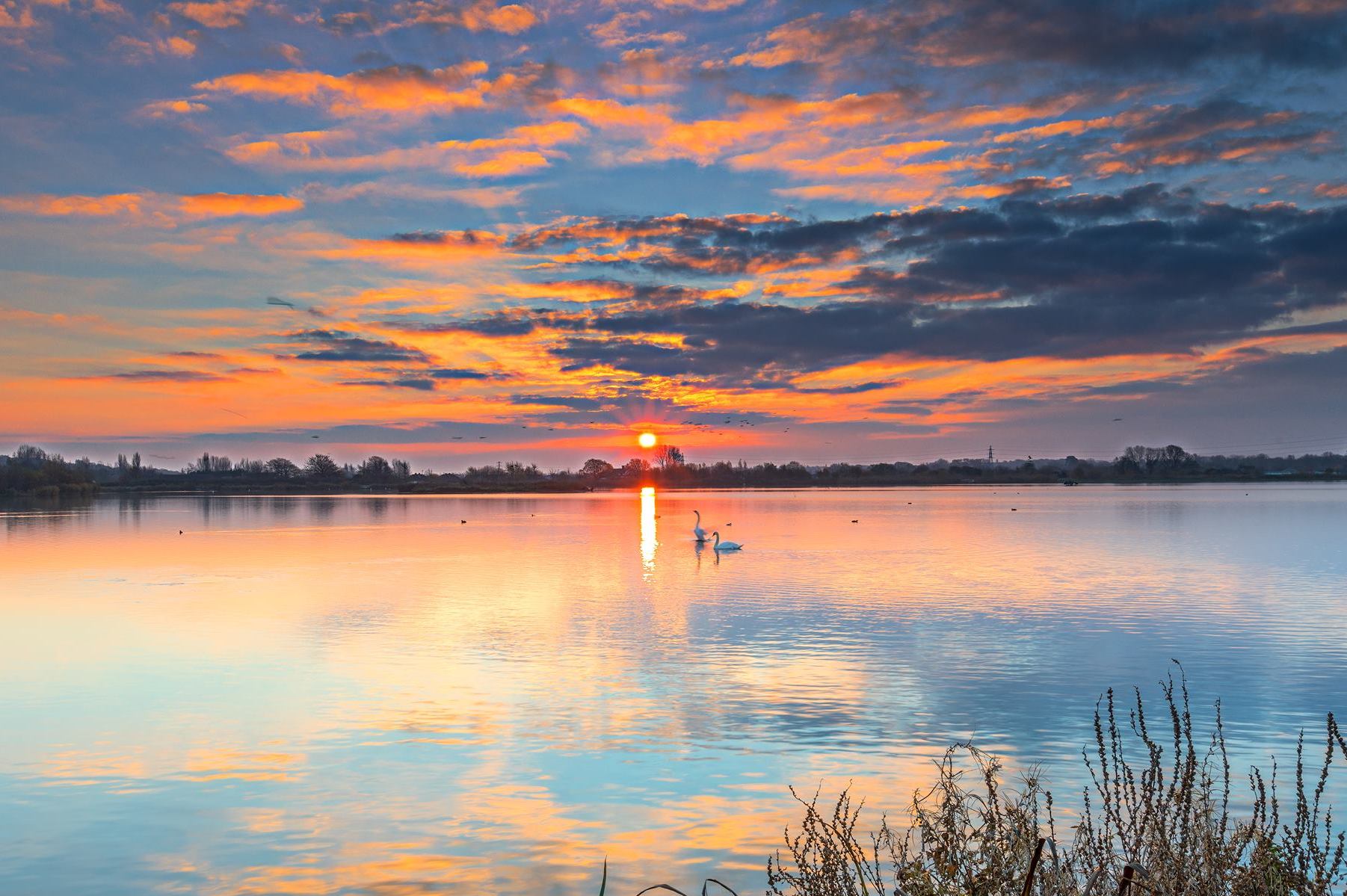 Picture of the Day: Sunrise at Longham Lakes