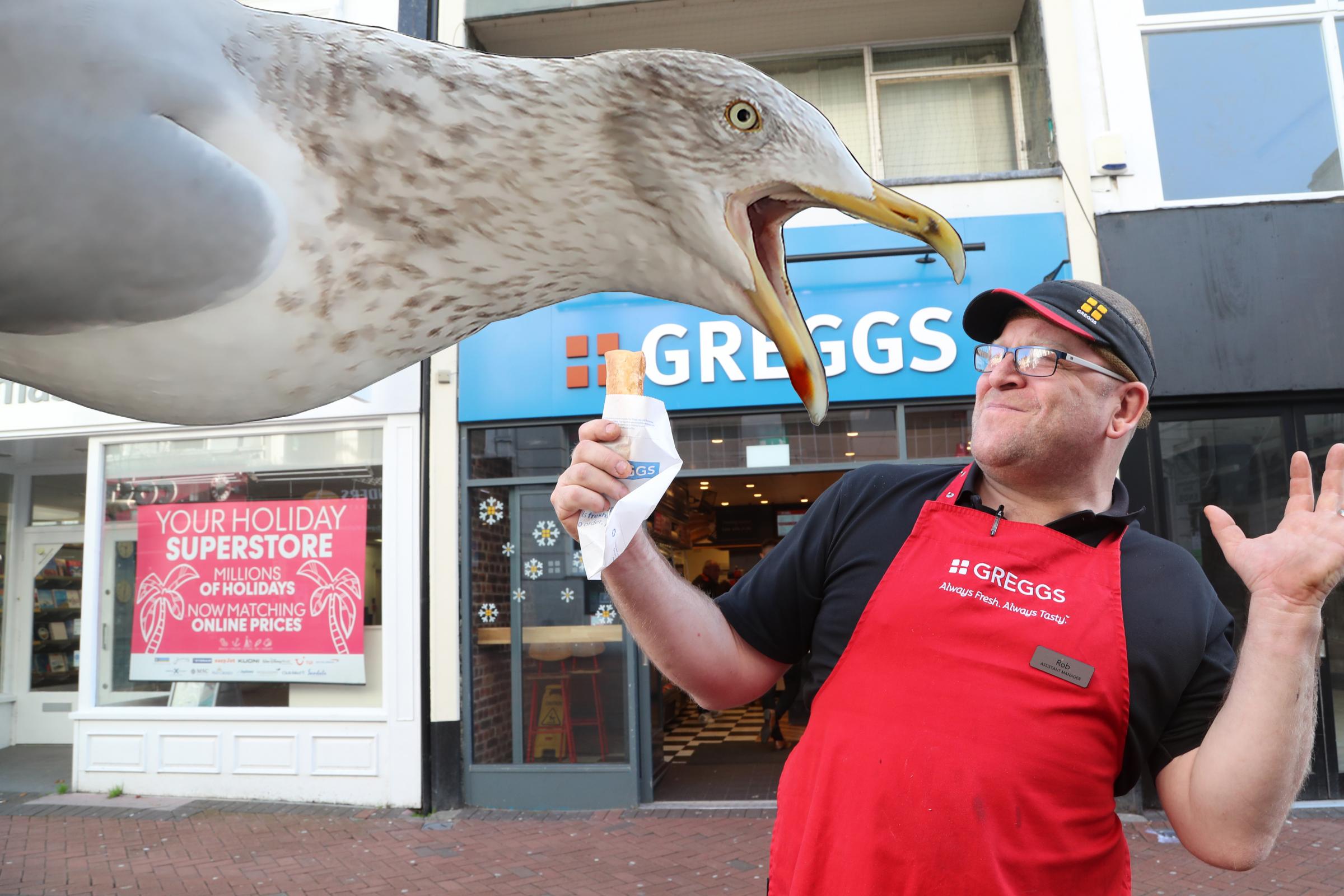 Greggs staff replacing customers' food as hungry gull snatches snacks 'out of people's hands'